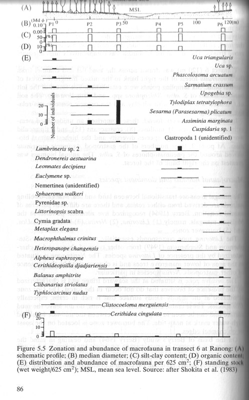 Mangrove Management and Conservation - aus dem Buch